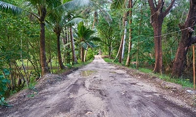 Nature & village trails
